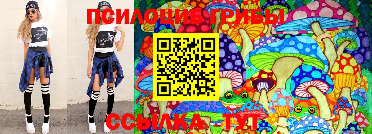 Псилоцибиновые грибы Cubensis Саратов
