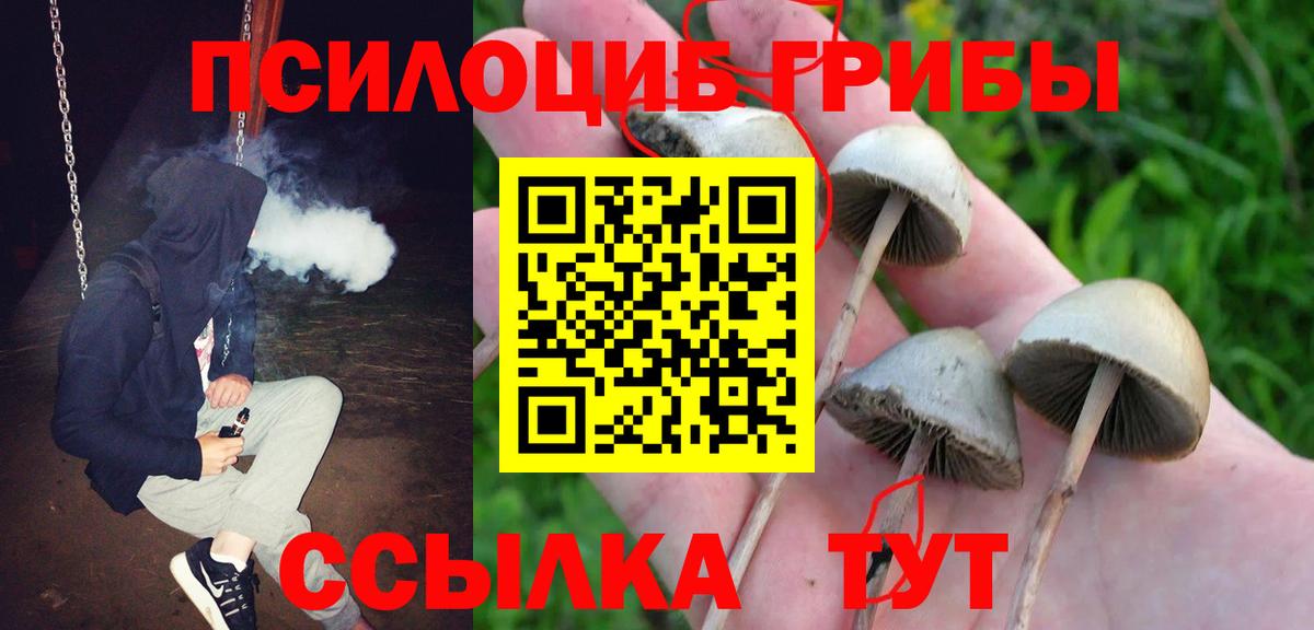 Псилоцибиновые грибы ЛСД  Вход с VPN  Галлюциногенные грибы прущие грибы  Саратов 